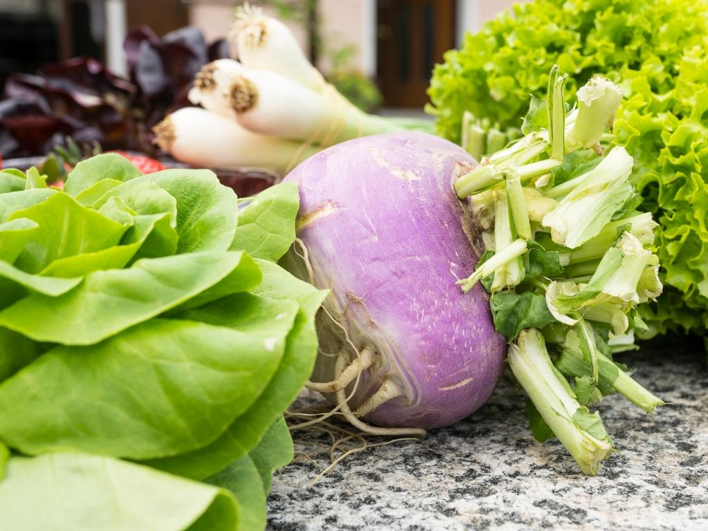 Image 3 - Agriesperienza - Azienda Catibio