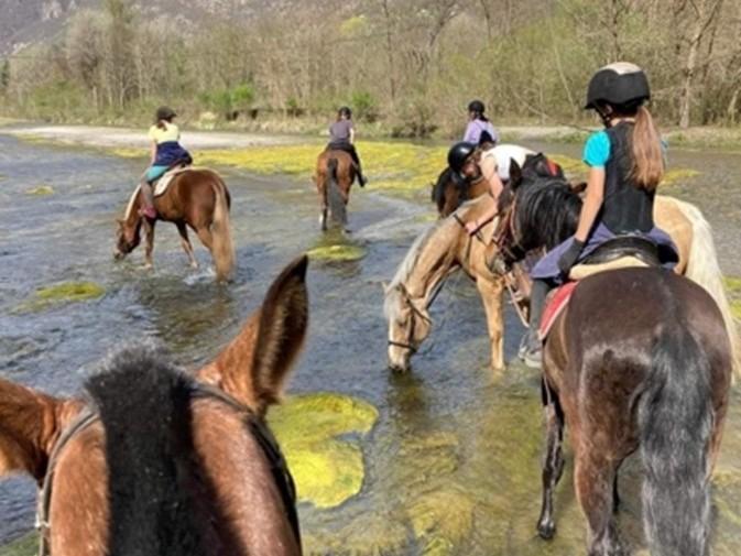 Image 1 - Passeggiate a cavallo per tutti - Allevamento Wyder