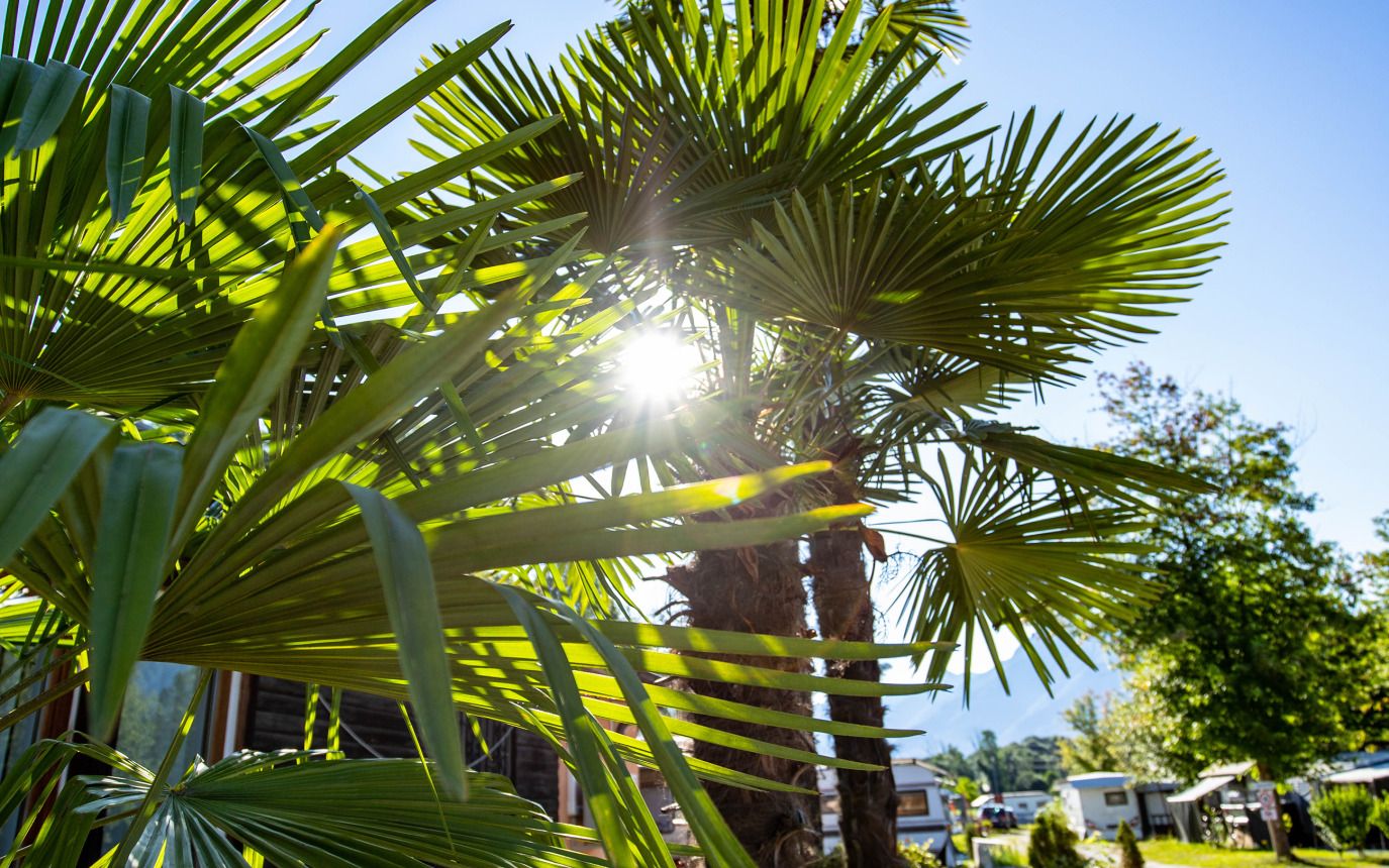 Image 5 - Camping Riarena