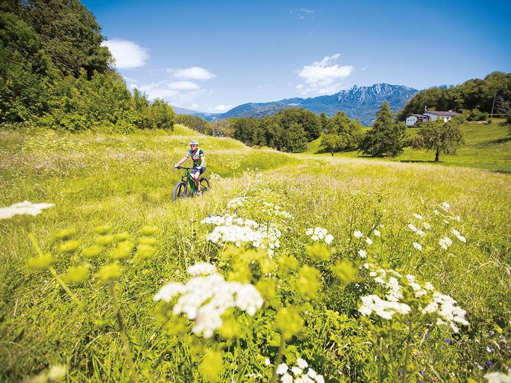 Image 4 - Vacances à VTT: Lugano Bike