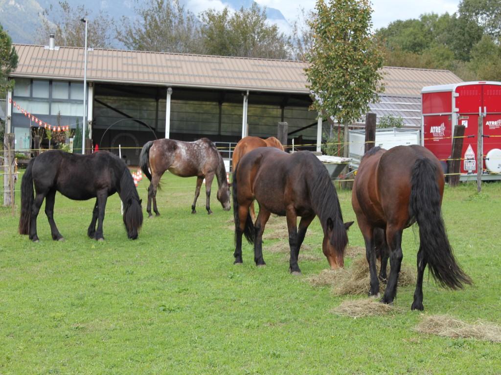 Image 8 - Ostello Centro Terapeutico La Fattoria