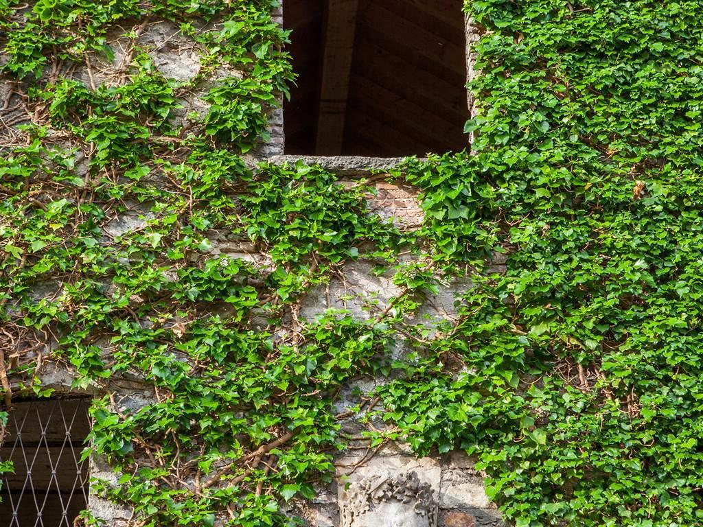 Image 19 - Park Hotel Principe