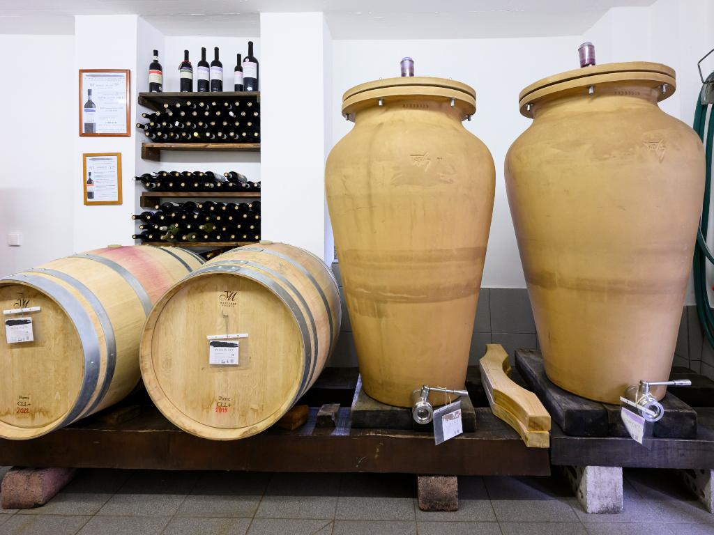 Image 3 - Agriesperienza - Azienda Cavallini