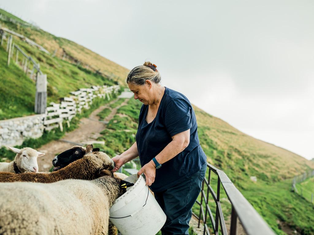 Image 1 - Azienda Clericetti “Latte Fresco”