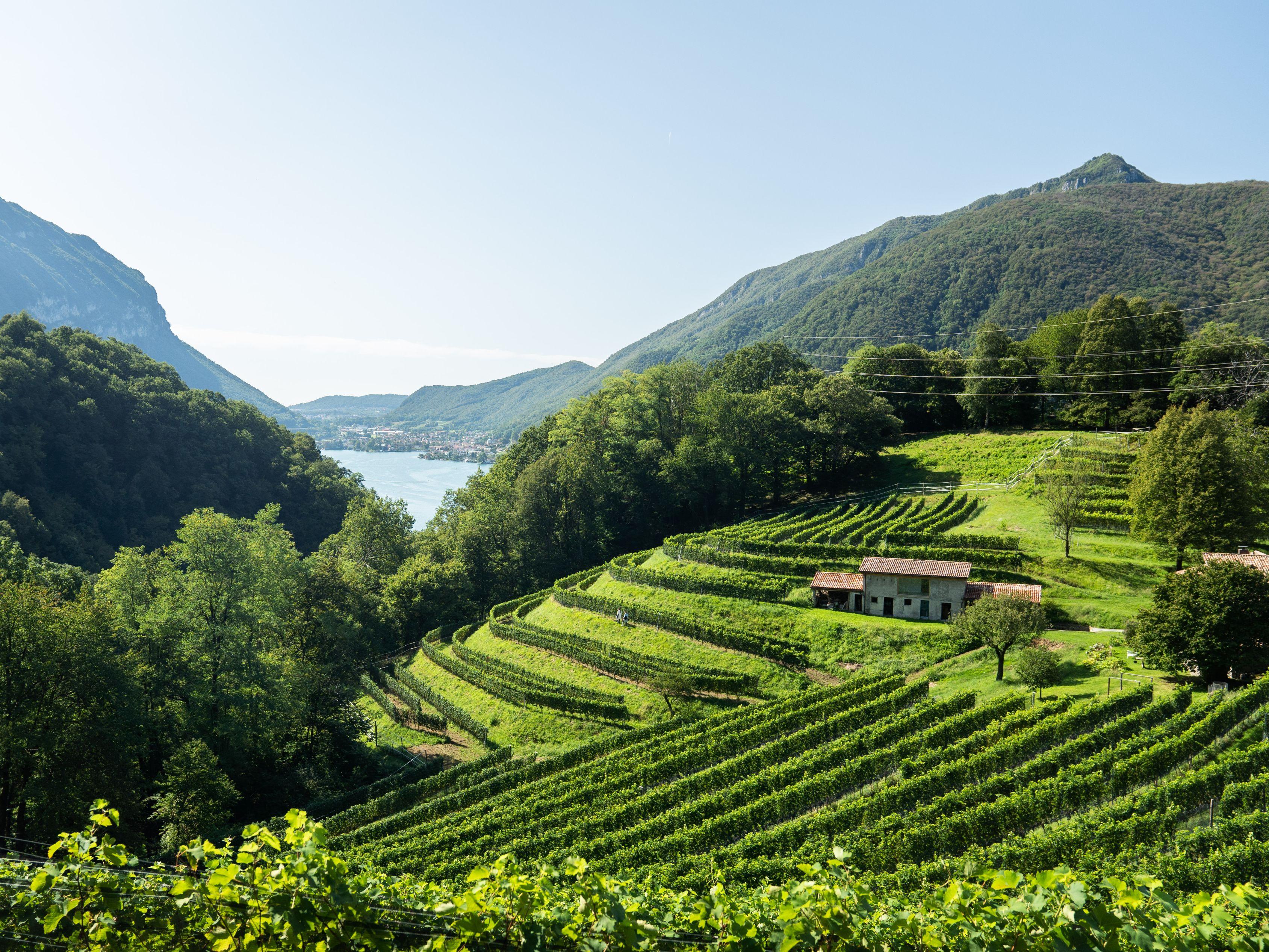 Image 1 - Inticino - Local and sustainable experiences