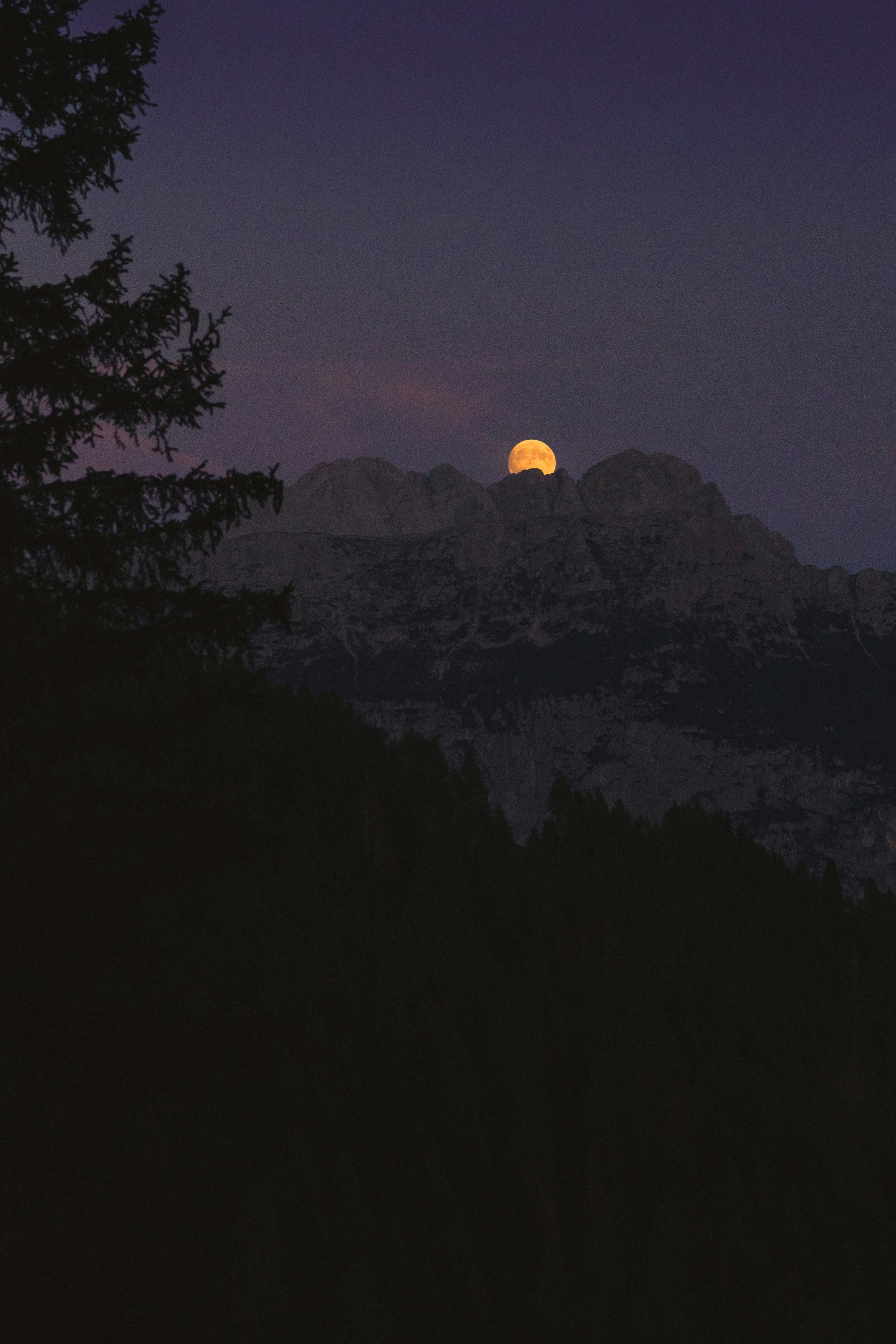 Image 0 - 