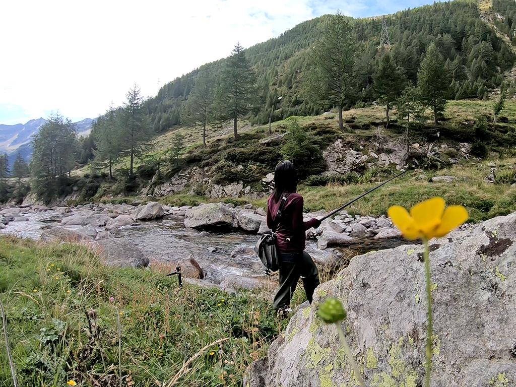 Image 4 - Touristen Fischerei/Angeln Lizenz