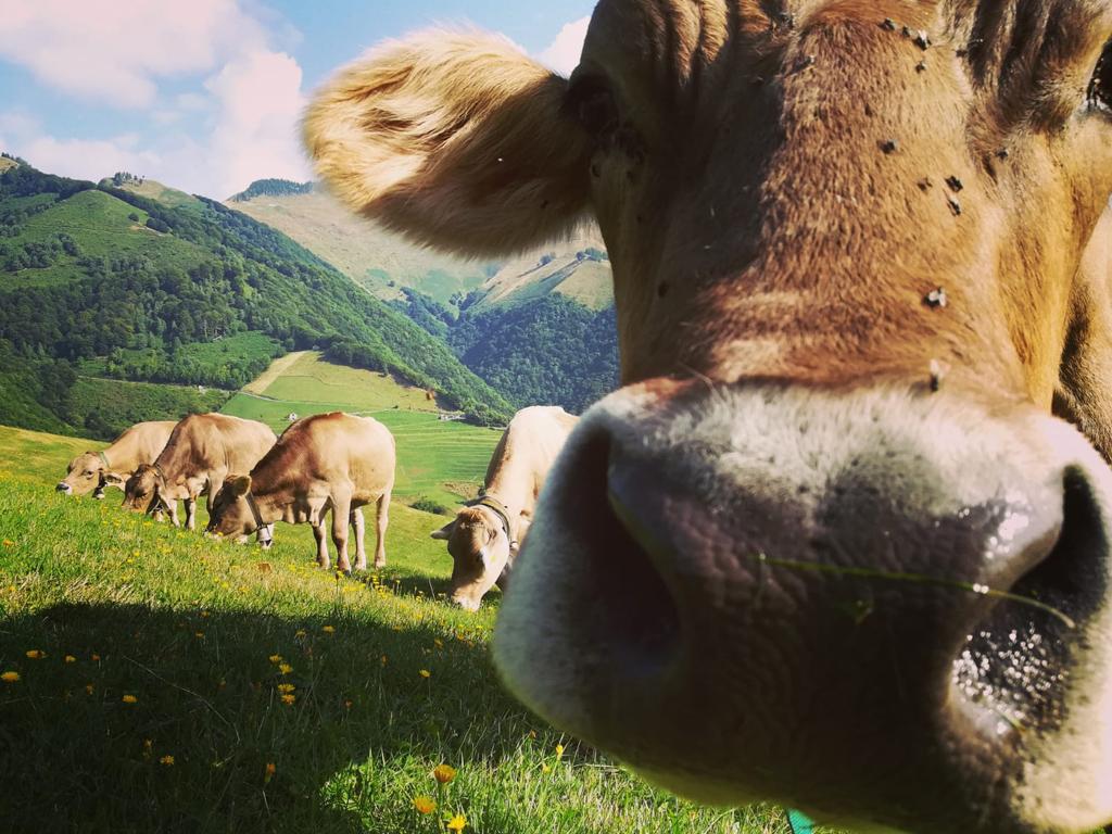 Image 8 - Agriturismo Dosso dell'Ora