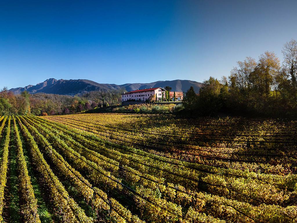 Image 0 - Wein - und Genussreise