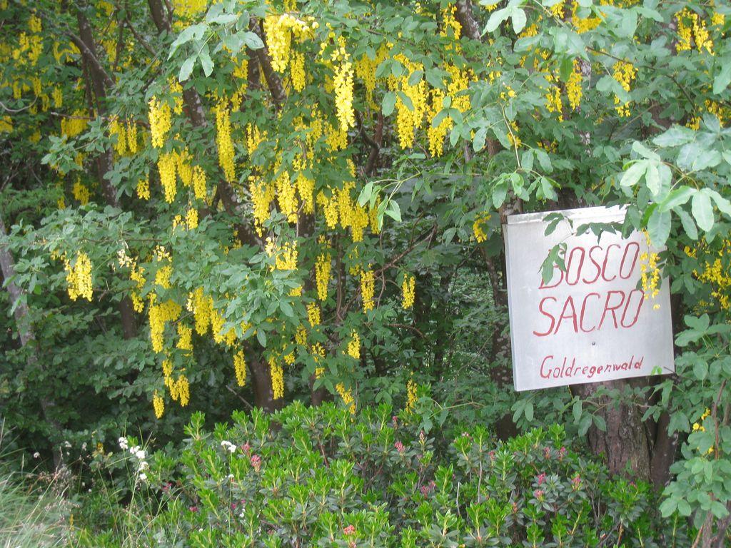 Image 4 - Waldreservat Bosco Sacro di Mergugno