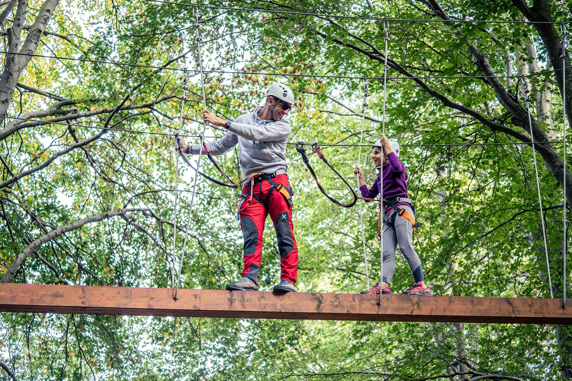 Image 7 - Cable car Monte Tamaro