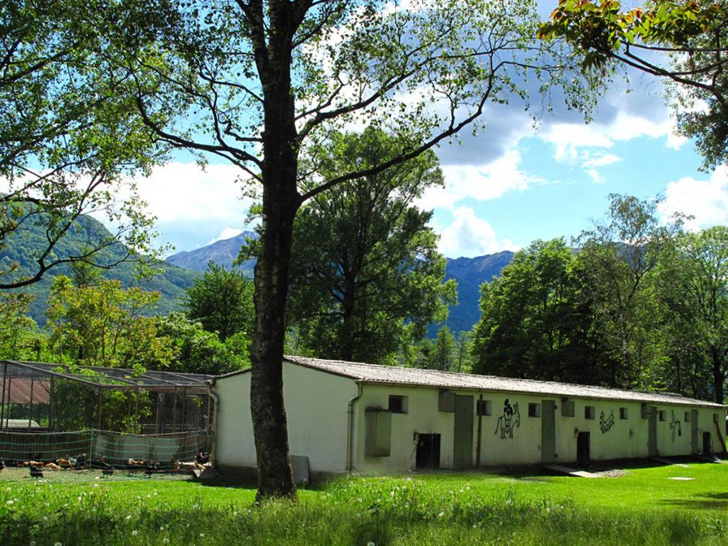 Image 0 - Polo Agricolo - Laboratorio Incontro 2
