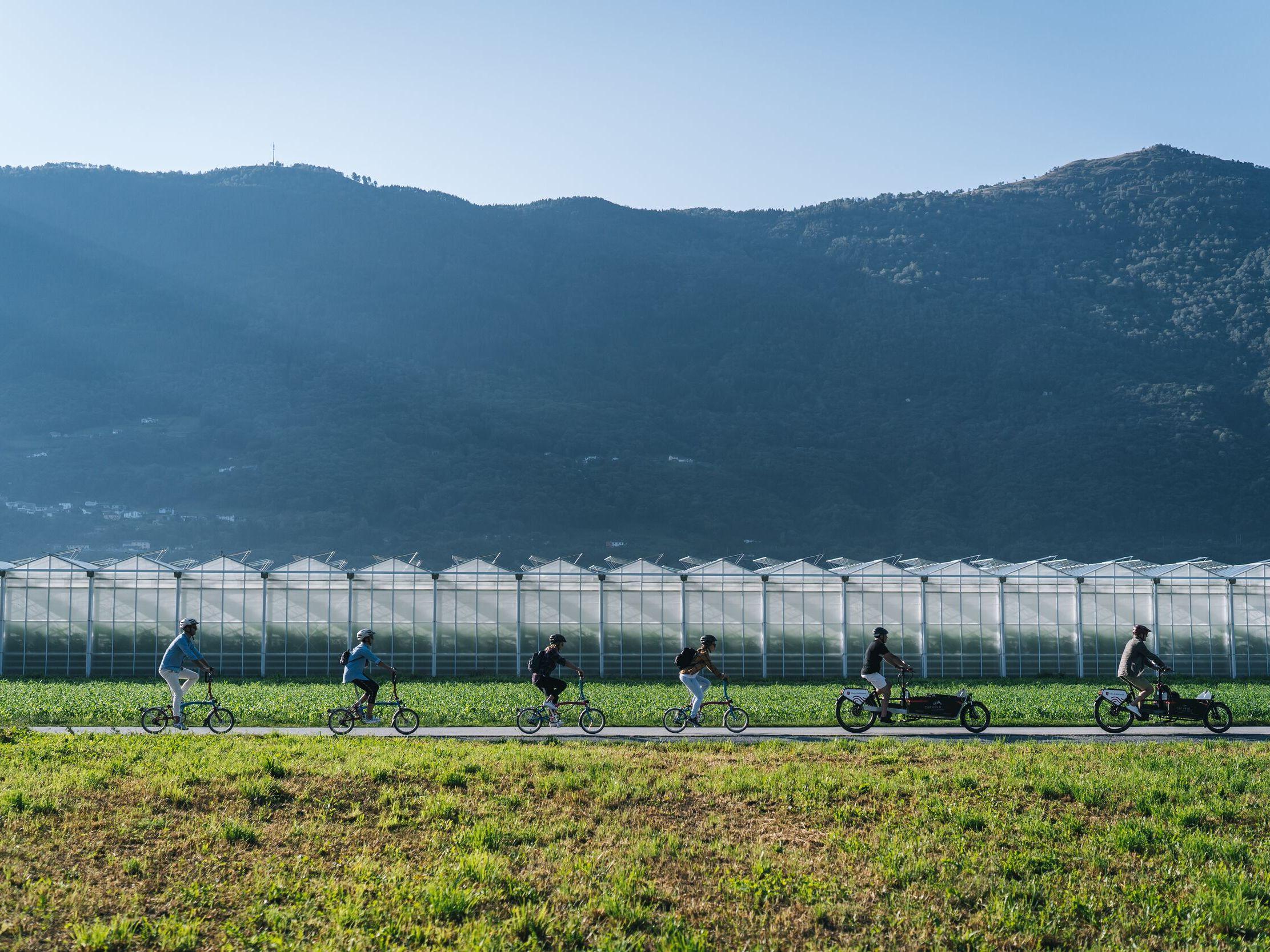 Image 9 - SUSPENDU - La spesa in fattoria