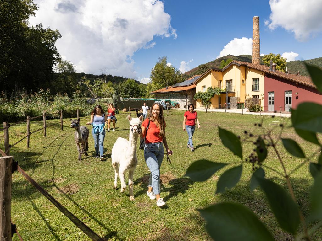 Image 2 - Alpaka-Trekking im UNESCO-Park Monte San Giorgio