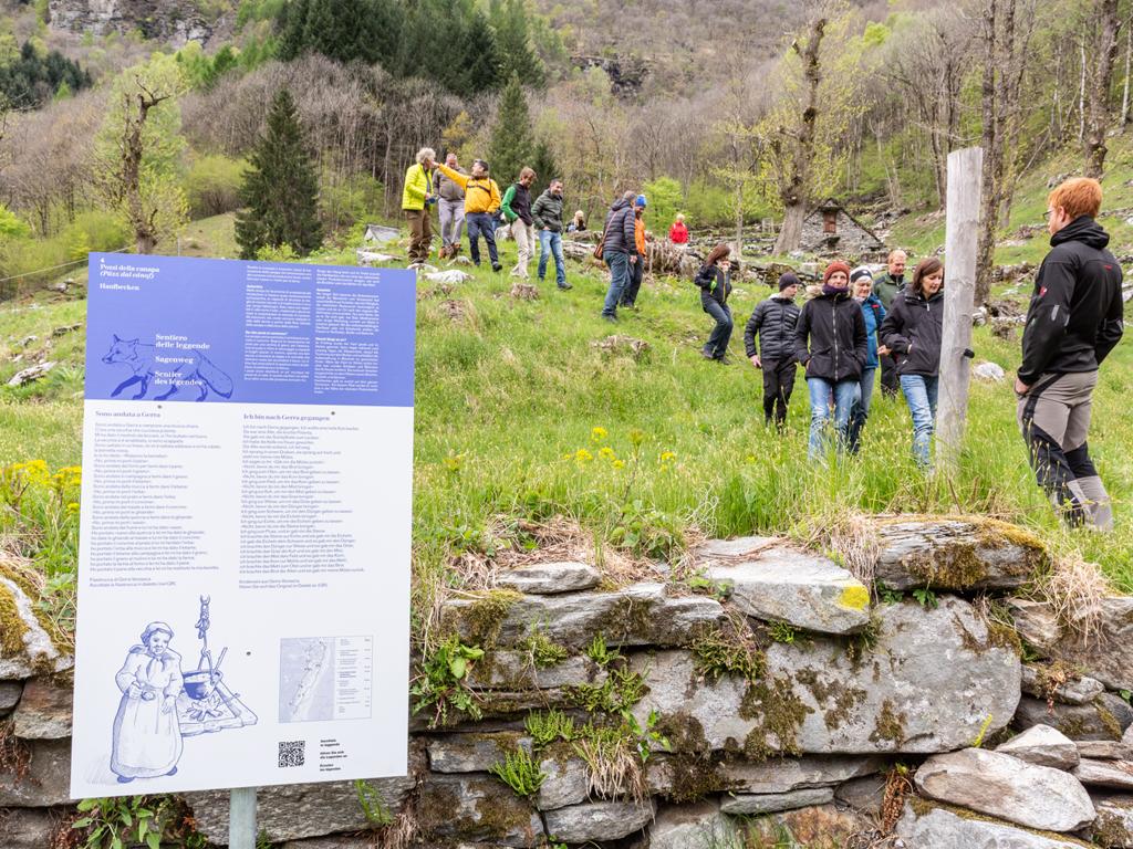 Image 1 - Trail of legends