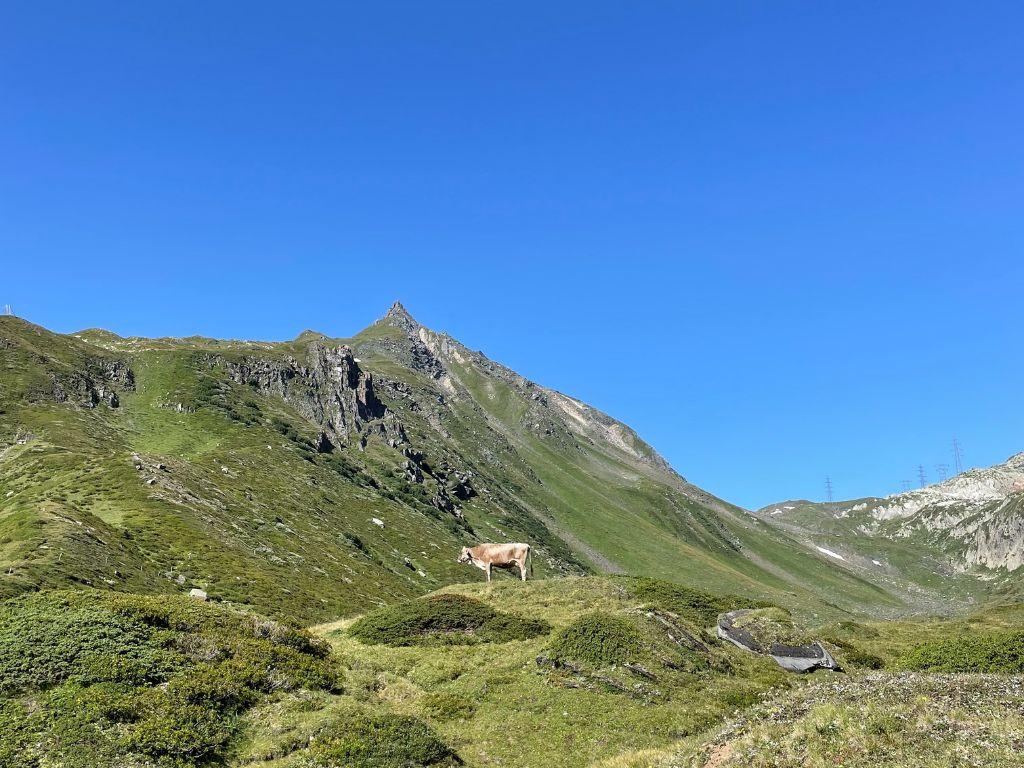 Image 2 - Capanna Corno Gries