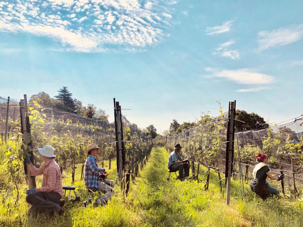 Image 3 - Cantina Blass