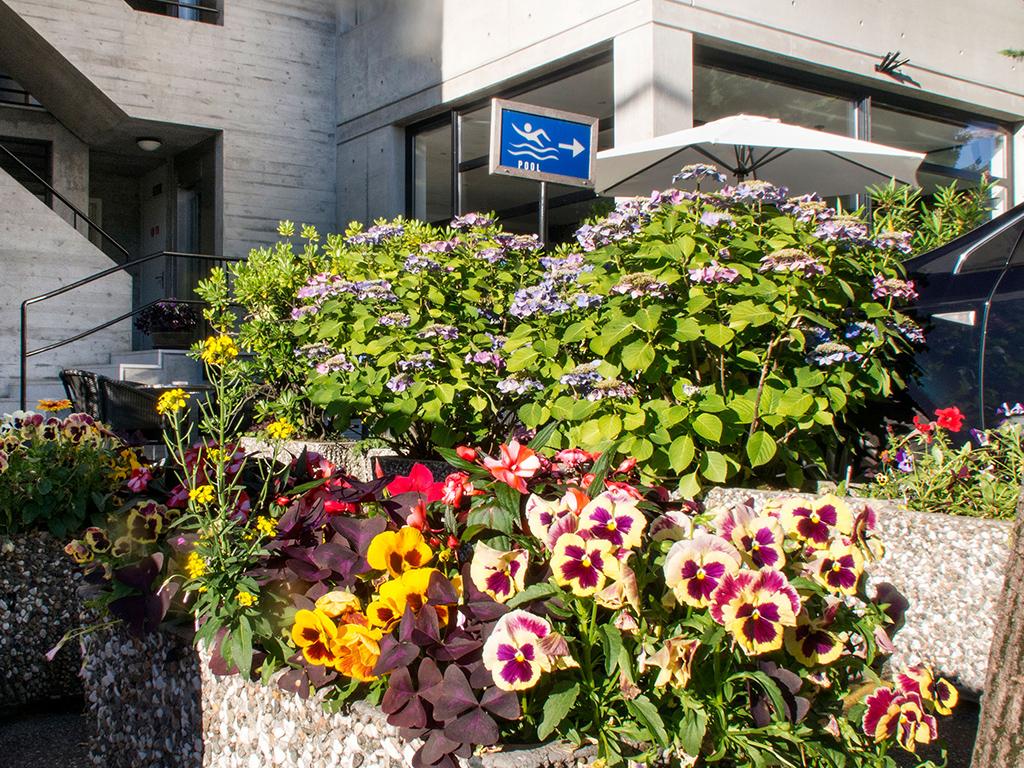 Image 6 - Hotel Nessi