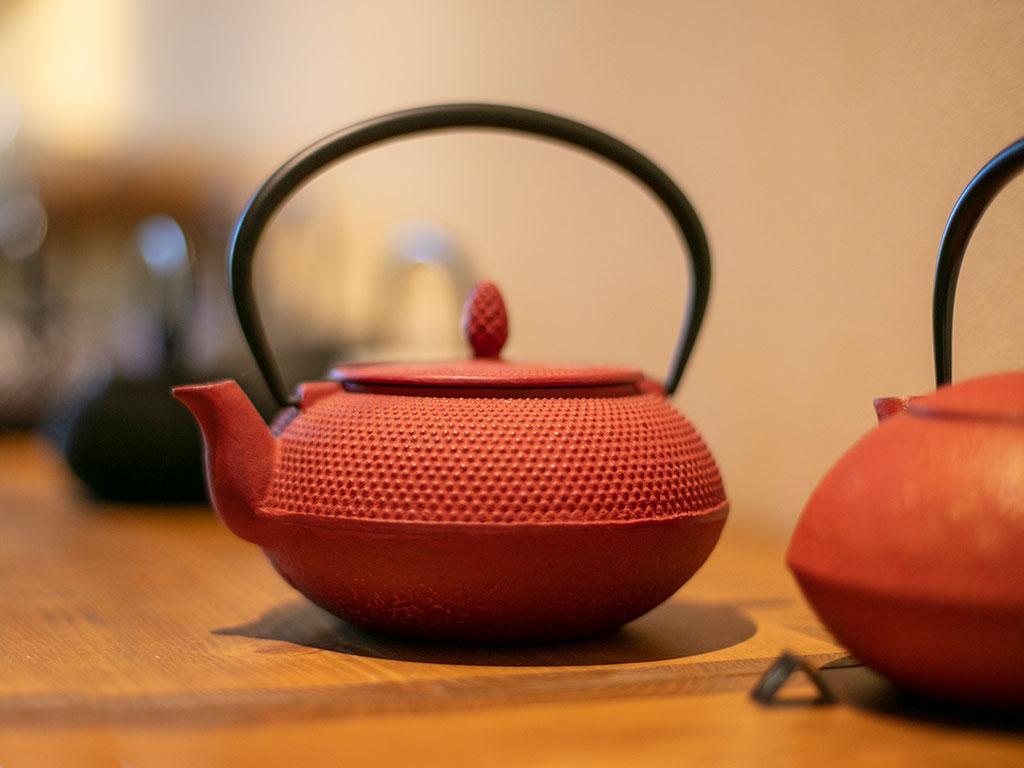 Image 4 - Plantation de thé du Monte Verità