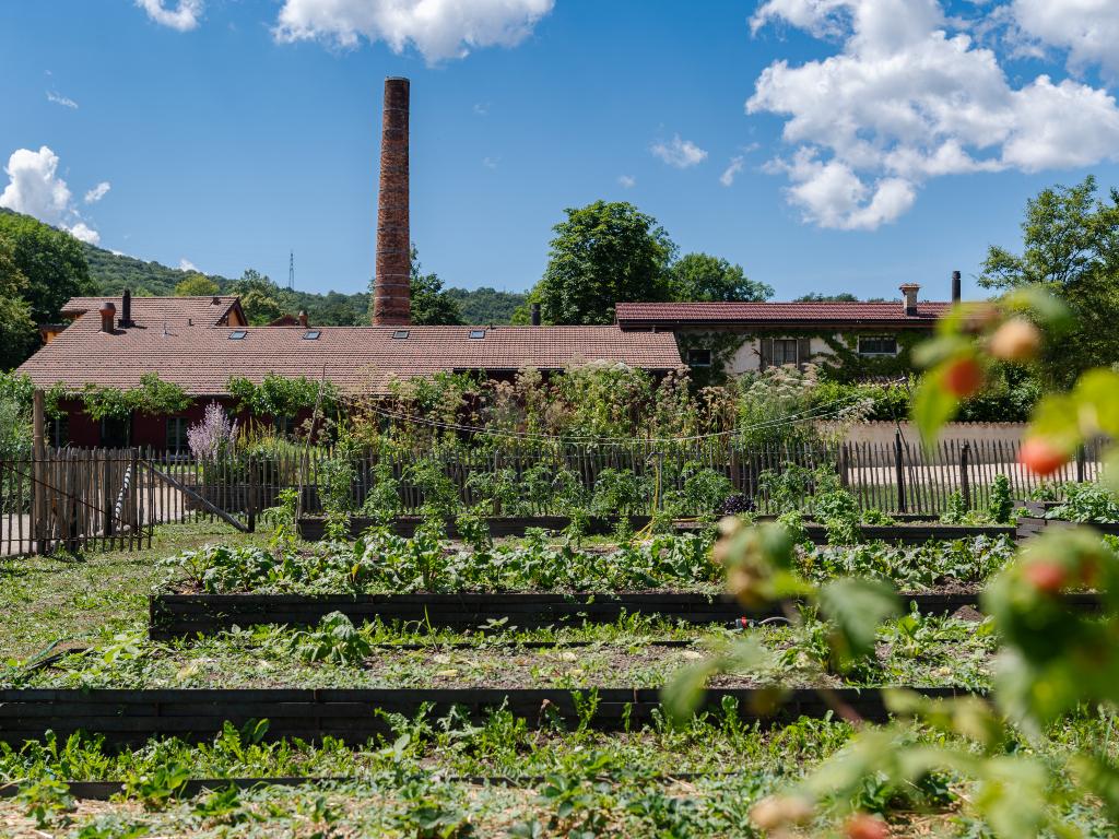 Image 2 - Ortoterapia