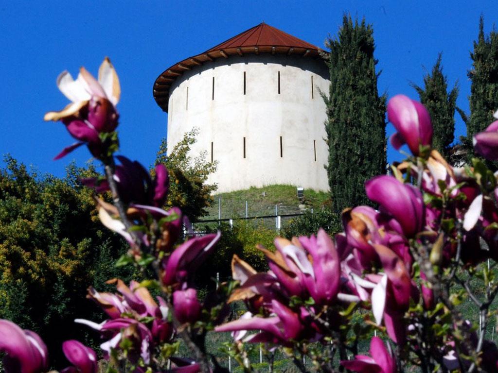 Image 2 - Cable car Camorino-Monti di Croveggia
