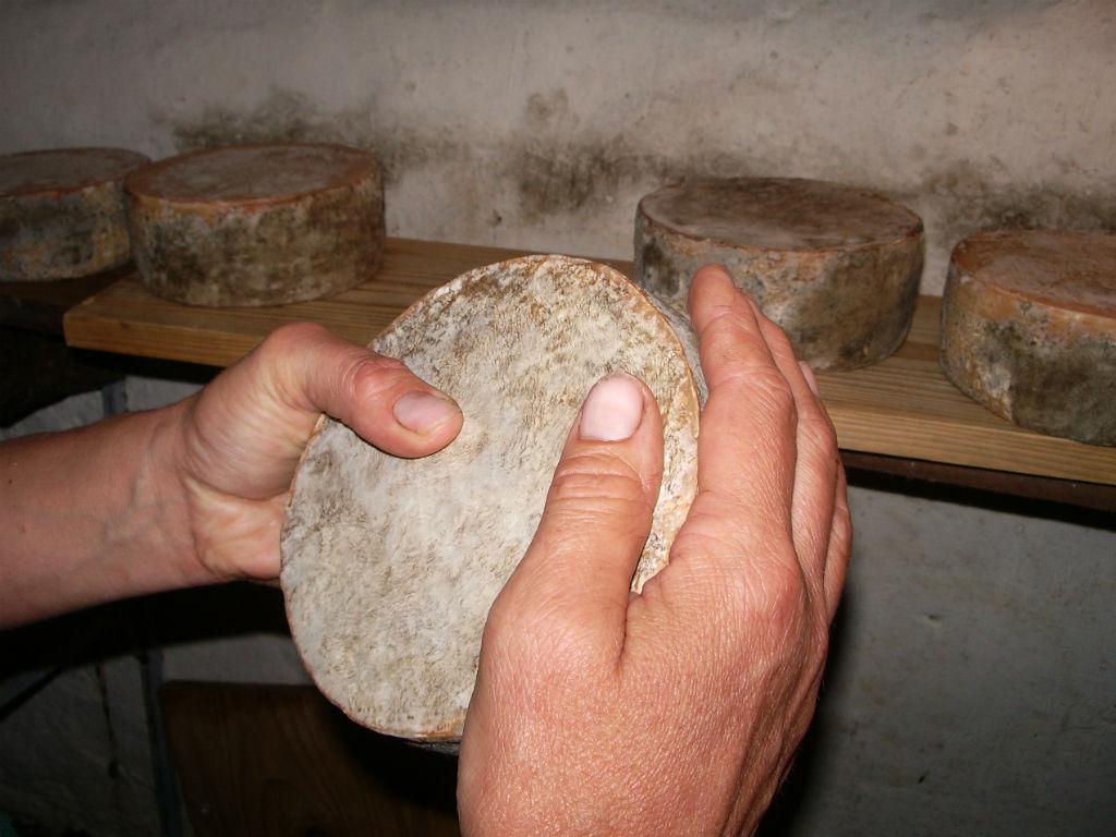 Image 7 - Azienda Capra Contenta