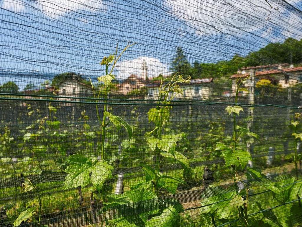 Image 2 - Fumagalli SA