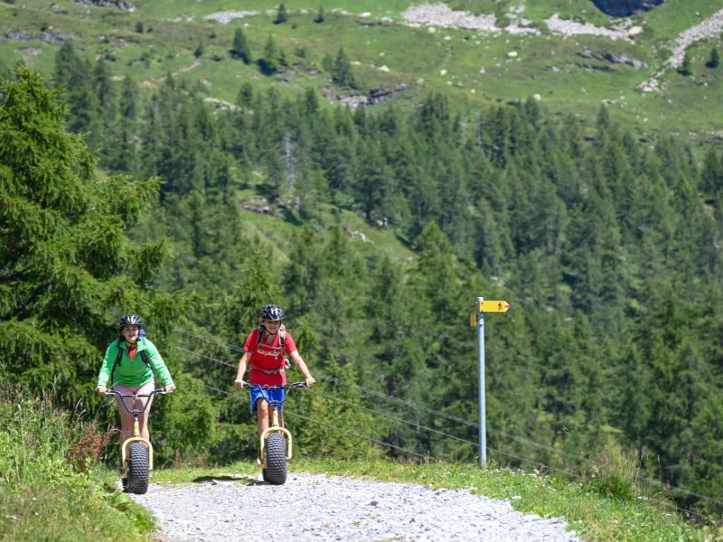Image 2 - Talfahrt auf dem Monster Roller Bosco Gurin