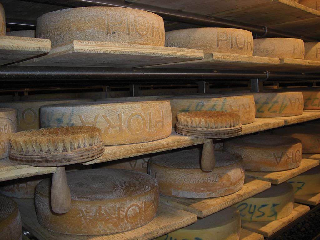 Image 0 - The AOP alpine cheese