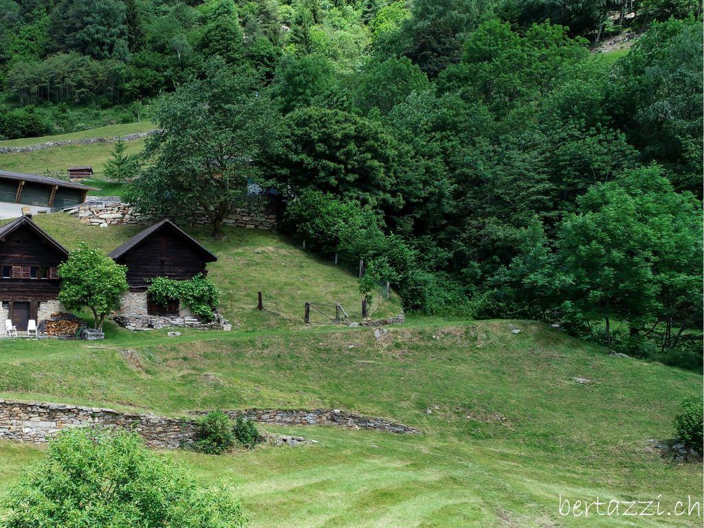 Image 2 - Agriturismo - B&B Bertazzi 