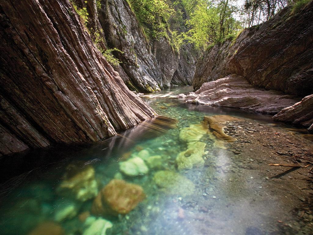 Image 3 - 