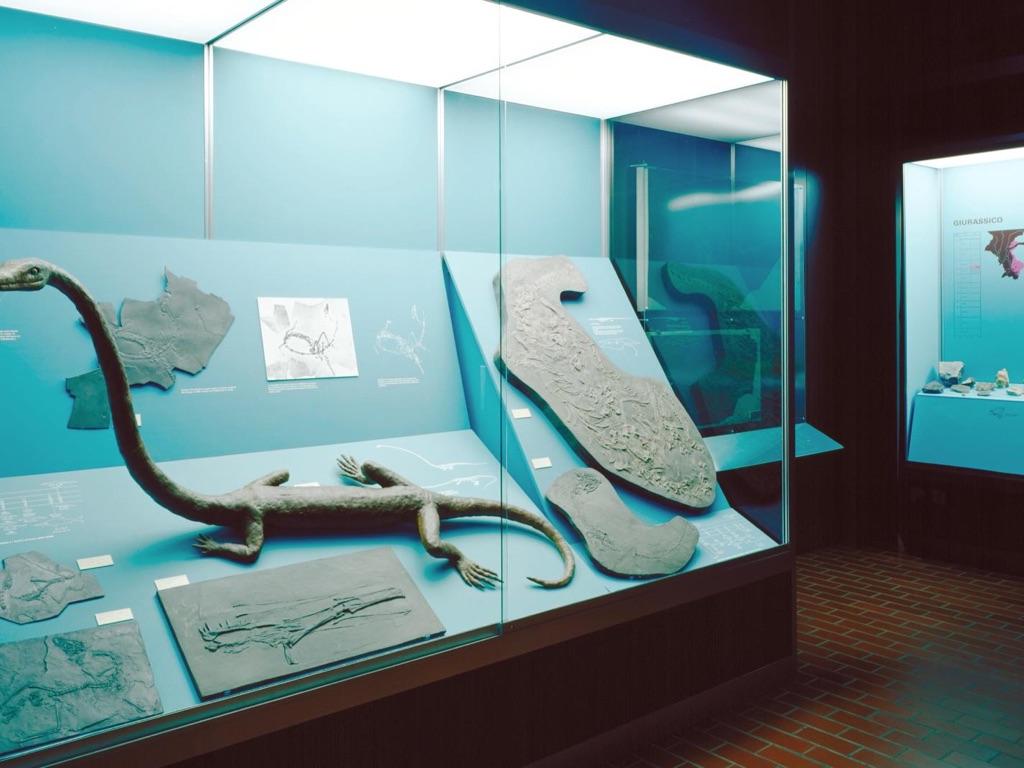 Image 4 - Museo cantonale di storia naturale