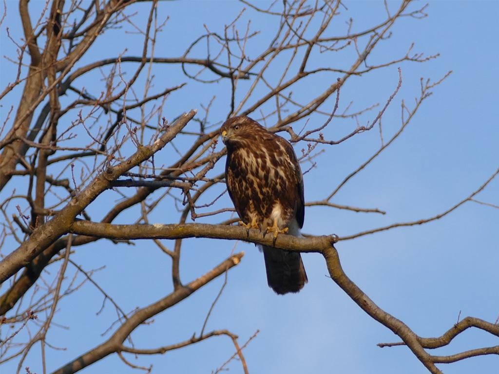 Image 4 - Riserva forestale del Monte Generoso