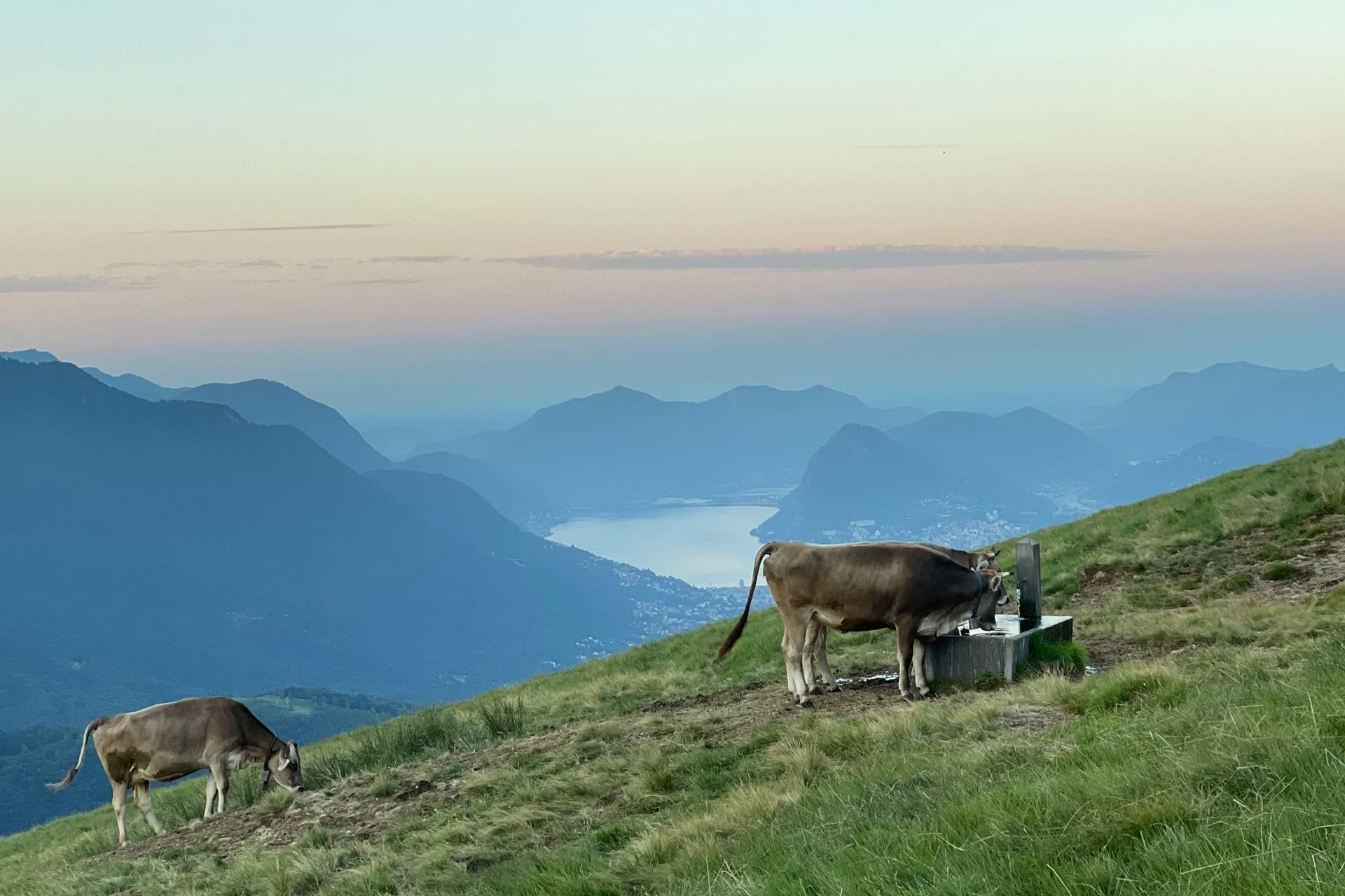 Image 4 - Agriturismo e Alpe Rompiago