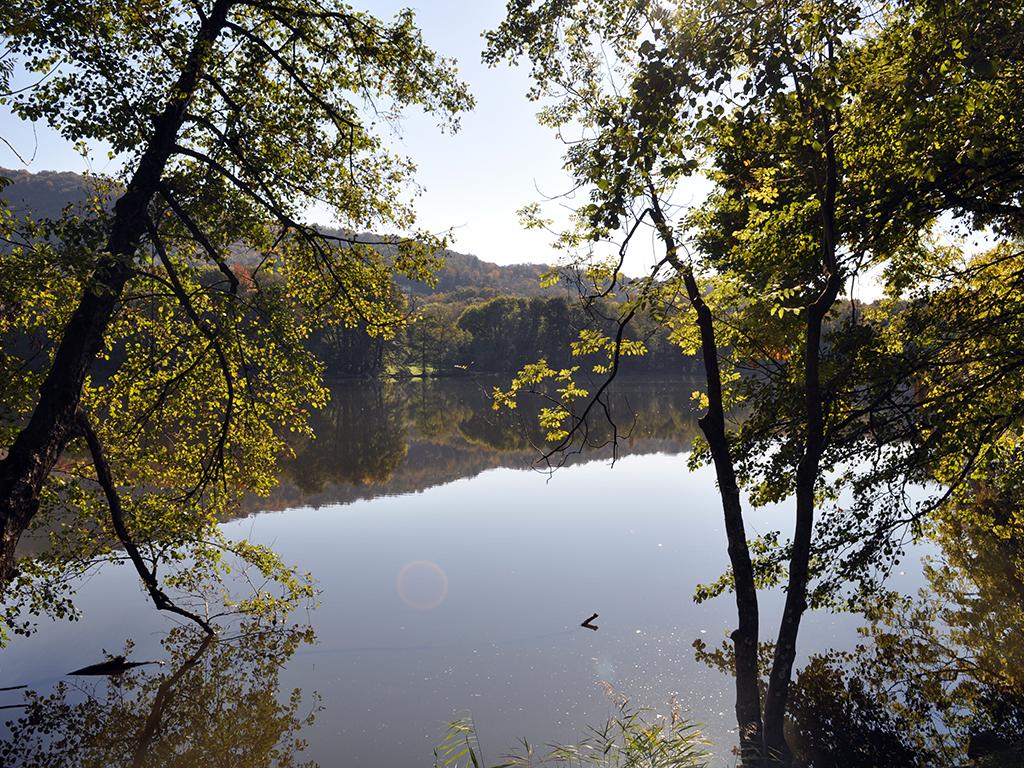 Image 8 - Laghetto di Origlio