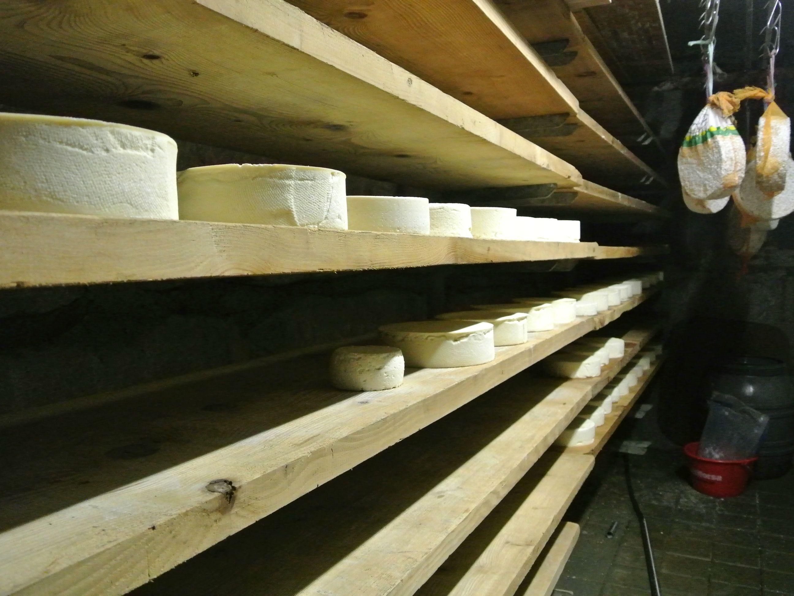 Image 2 - Azienda agricola Alnéid