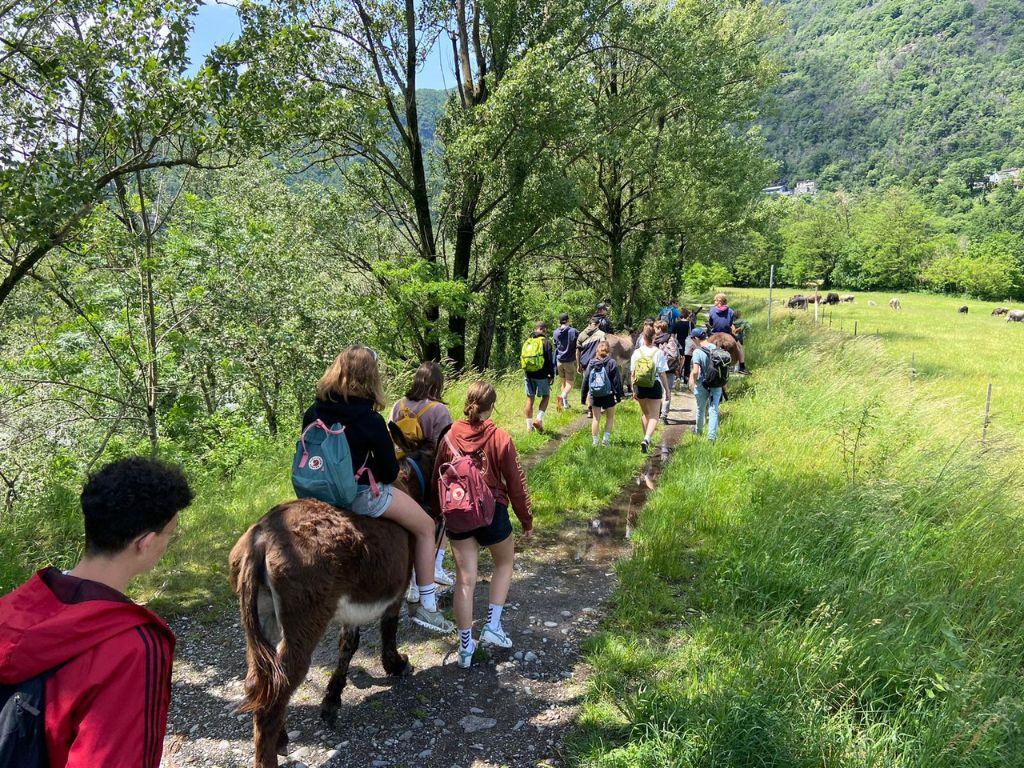 Image 0 - Trekking con asini - Erica Bänziger