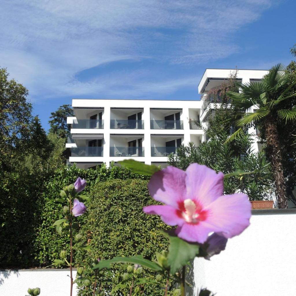 Image 0 - Fiore Rosa by Fewotessin