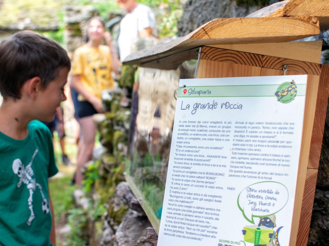 Image 3 - Schatzsuche – Salamandra Vagabonda