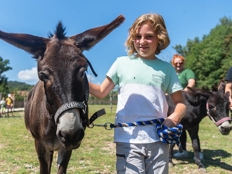 Image 4 - Pet Therapy