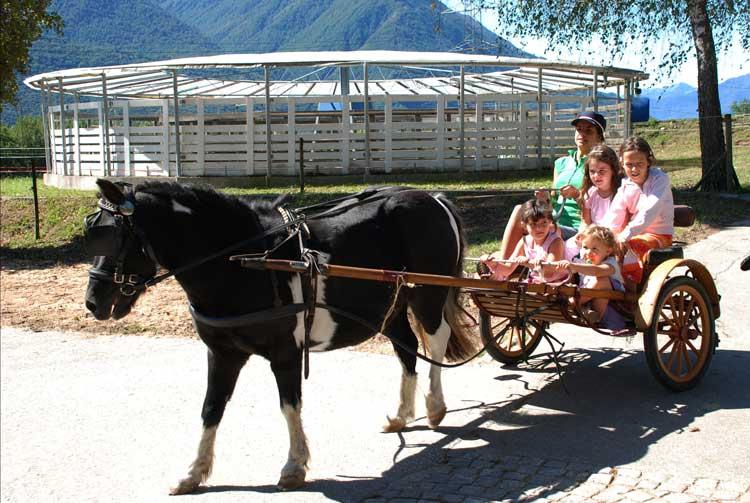 Image 1 - Scuderia Progero