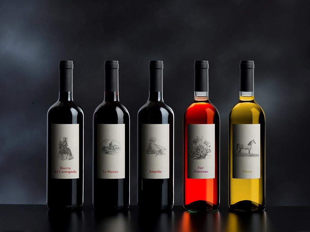 Image 1 - Cave vinicole Carlevaro SA