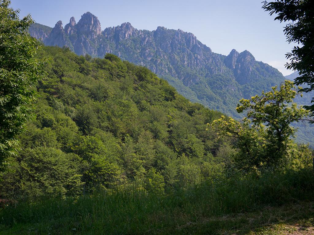 Image 4 - Riserva forestale dei Denti della Vecchia