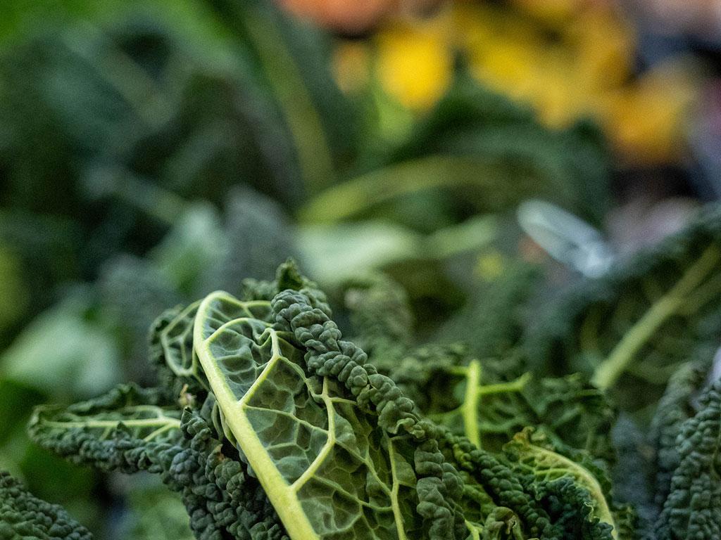 Image 2 - Biosfera Locarno