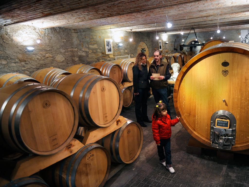 Image 1 - Parravicini Vitivinicoltori