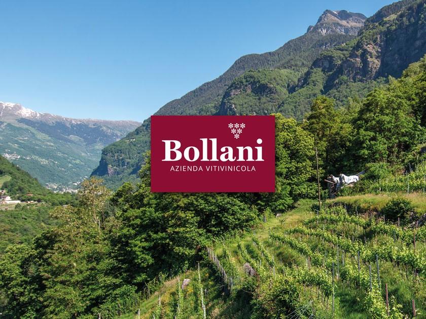 Image 1 - Azienda Vitivinicola Bollani