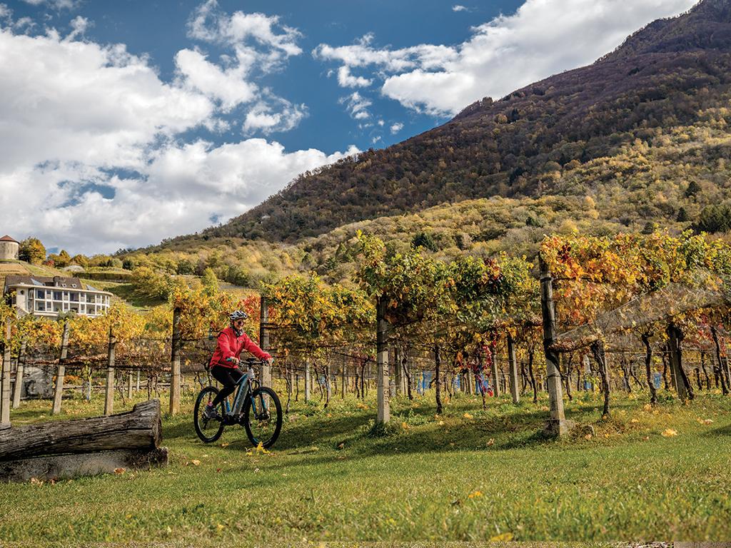 Image 2 - e-MTB mieten im Tessin