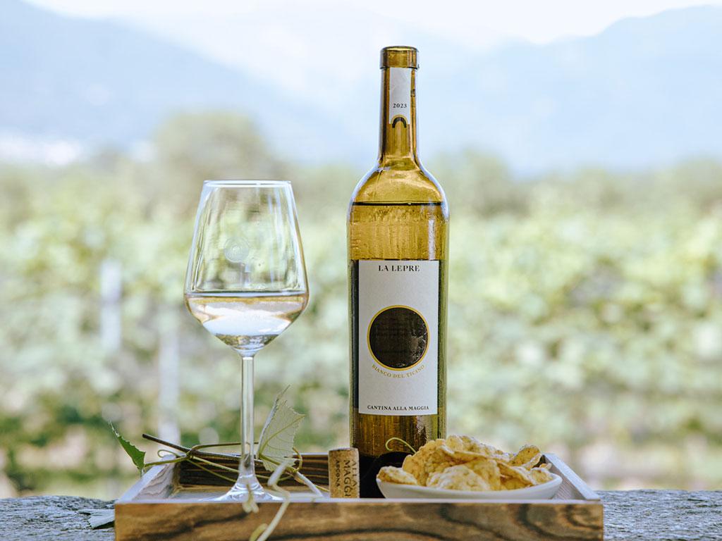 Image 3 - Cantina alla Maggia & Terreni alla Maggia