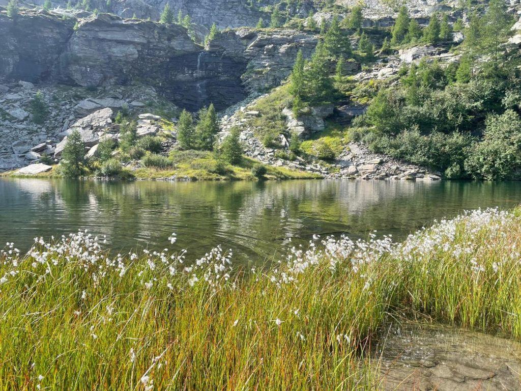 Image 1 - Waldreservat Val Marcri