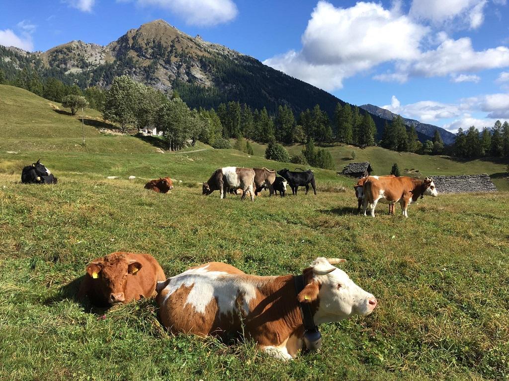 Image 11 - Agriturismo Munt la Reita